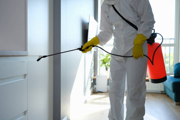 Best Emergency Mold Remediation in Temple, TX
