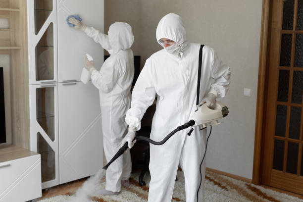 Best Bathroom Mold Remediation in Temple, TX