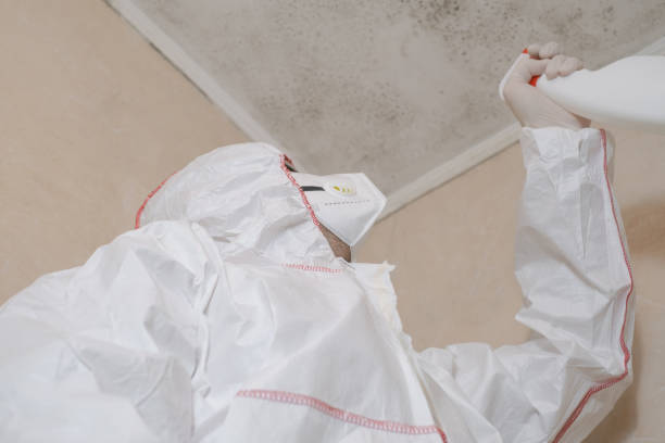 Best Mold Remediation for Schools in Temple, TX